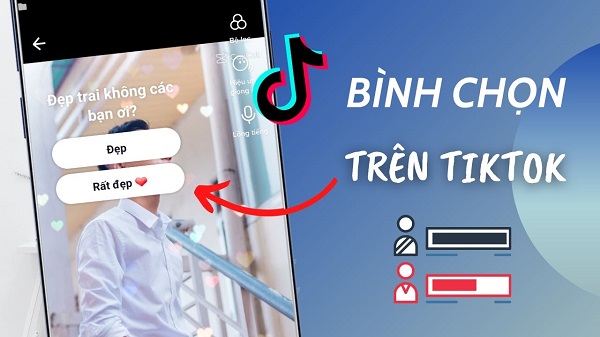 tạo bình chọn trên tiktok 