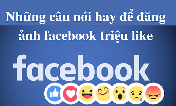 những câu nói hay đăng facebook hay nhiều like