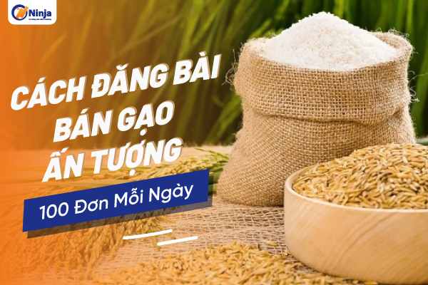 Cách đăng bài bán Gạo hiệu quả