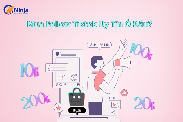 Mua Follow tiktok ở đâu uy tín