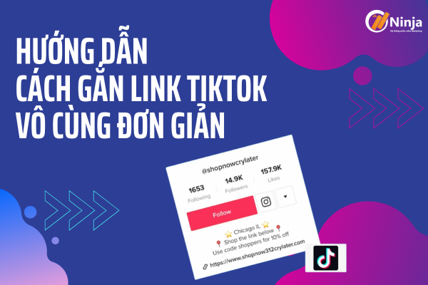 gắn link TikTok